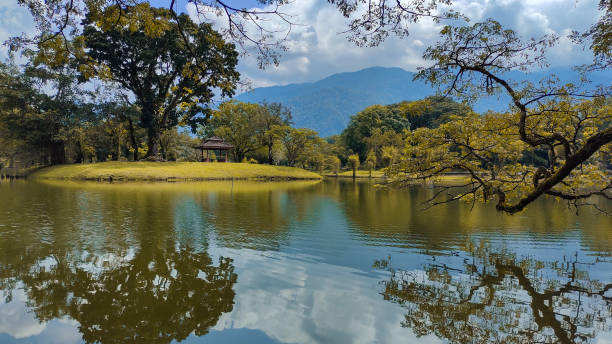 istock View at Taiping Lake Garden 1343220091