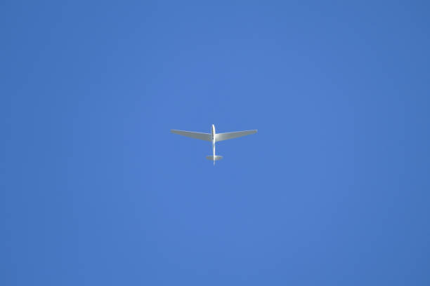 istock Single glider in the middle of the blue sky 1343224510