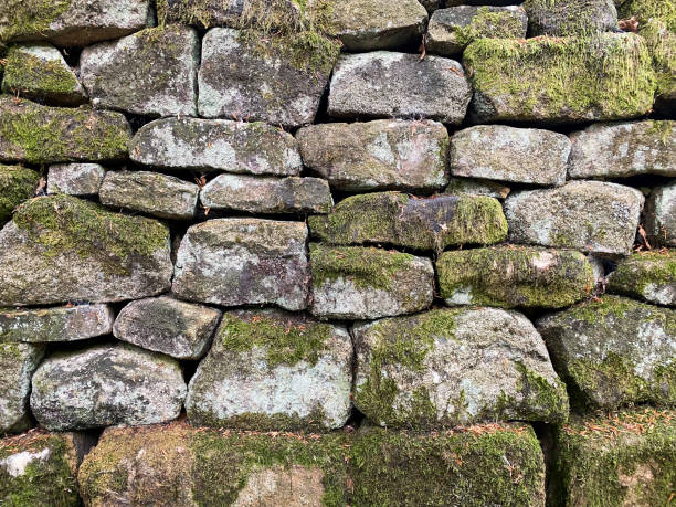 Rough stone wall covered in moss and lichen