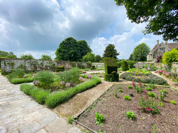 istock Formal vegetable and herb garden 1343227867