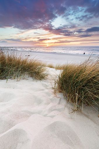 Calm beach with dunes and green grass. Ocean in the background, blue sunny sky