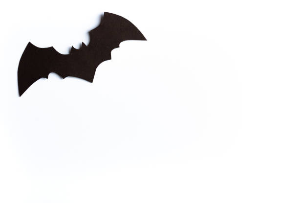 Halloween concept, black bat on white background, handmade atmospheric halloween background, flay, copy space, cut out. High quality photo