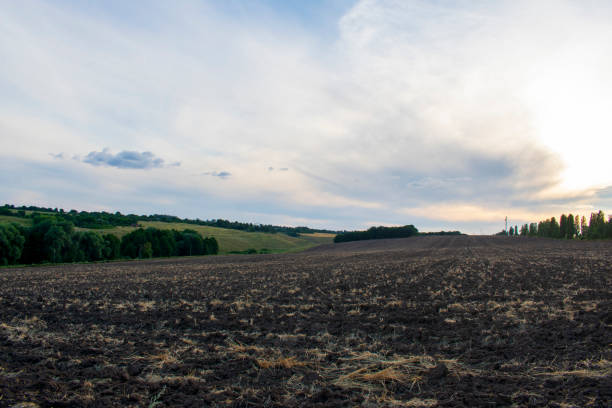 istock Rural landscape with a plowed field 1343232526