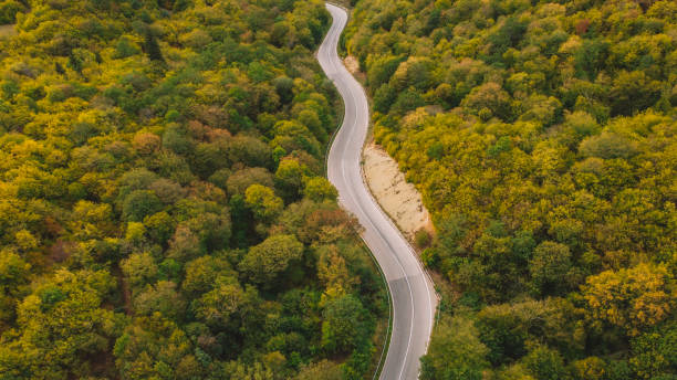 istock autumn winding road aerial view 1343233566
