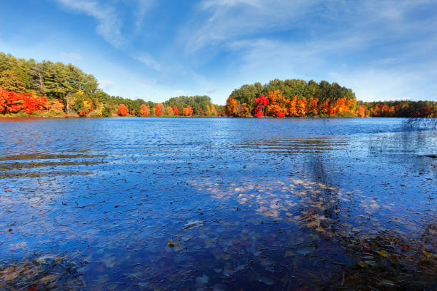 Beautiful New England Fall Foliage with water reflections on a sunny day, Boston Massachusetts.