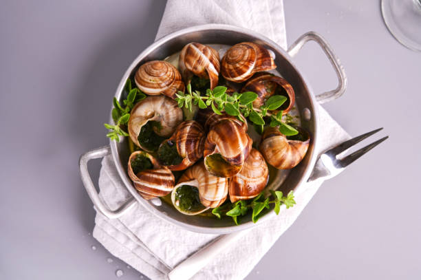 istock Delicious cooked sea escargo snails in a frying pan on a gray table 1343233928