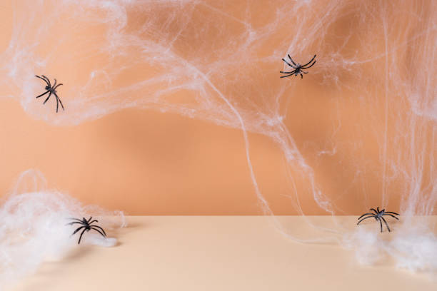 istock Spooky Halloween modern scene with spider web and spiders 1343262563