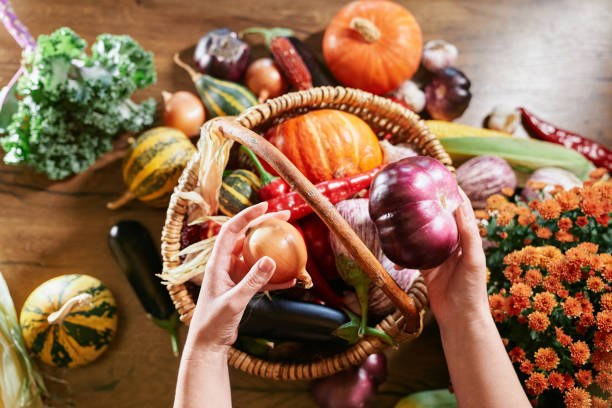 istock Harvest: female hand putting vegetables in wicker basket 1343262728