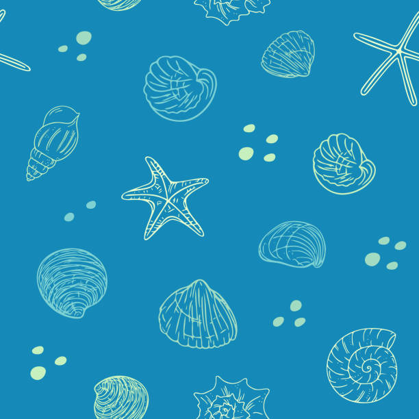 Ocean Floor Minerals Illustrations, Royalty-Free Vector Graphics & Clip ...