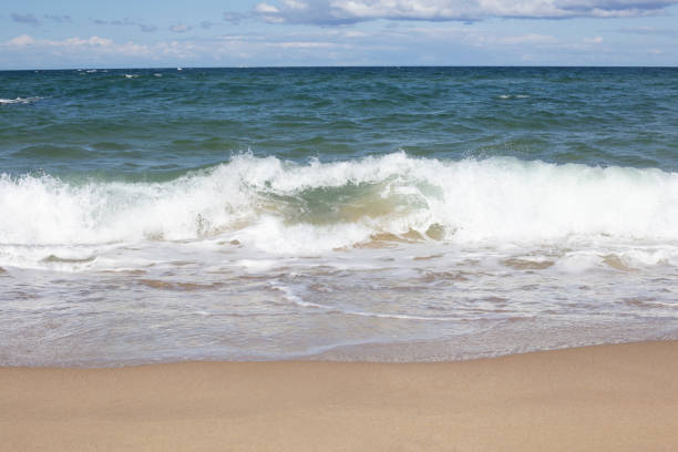 istock Aerial view of sandy beach and ocean with waves. 1343267981