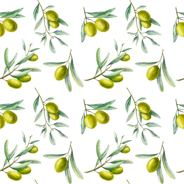 wzór z gałązkami oliwnymi - olive green illustration and painting backgrounds watercolor painting stock illustrations