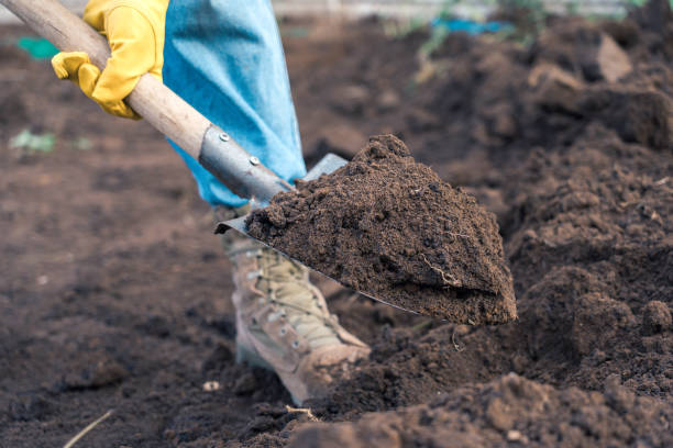 istock A farmer digs the ground with a shovel, close-up 1343277625