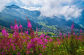 landschaft-der-schweizer-alpen-im-sommer.jpg?b=1&s=170x170&k=20&c=QgoDWHakFZBfZEqLTqZ5hW0CBBVbb_2uZtd7X6FnWK0=