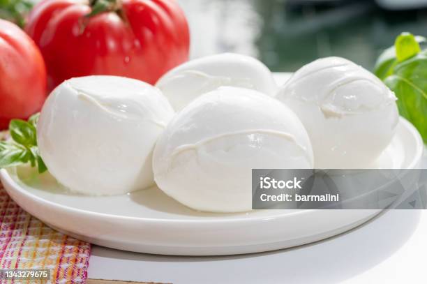 Cheese Collection Fresh Italian Soft Cheese Mozzarella Di Bufal Campana Served With Fresh Basil And Tomatoes Stock Photo - Download Image Now