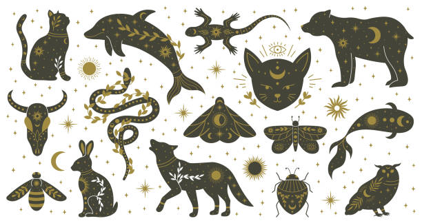 신비한 보헤미안 마술 손으로 그린 동물과 나방 곤충. 마술 마법 돌고래, 곰, 도마뱀, 뱀과 나방 벡터 일러스트 세트. 신화 야생 동물 동물 - silhouette animal black domestic cat stock illustrations
