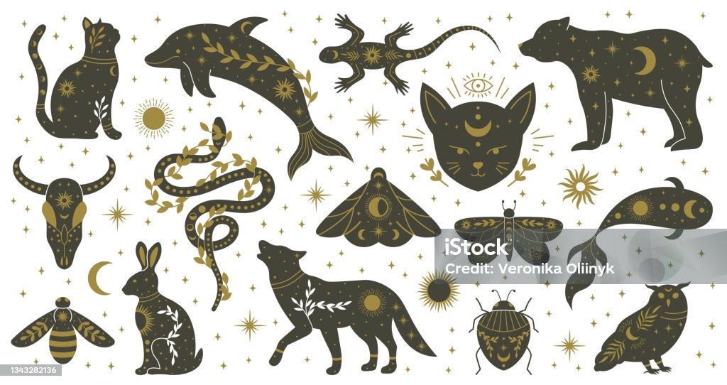 Mystic Boho Witchcraft Hand Drawn Animals And Moths Insects Witchcraft  Magical Dolphin Bear Lizard Snake And Moth Vector Illustration Set  Mythological Wildlife Animals Stock Illustration - Download Image Now -  iStock