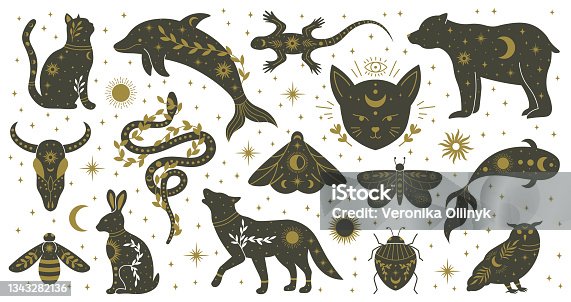 164,482 Spirit Animal Illustrations & Clip Art - iStock | Lion, Wolf,  Unicorn