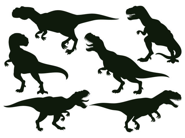 ilustraciones, imágenes clip art, dibujos animados e iconos de stock de cartoon jurassic predator tyrannosaurus rex, silueta extinta de t-rex. depredador antiguo jurásico, conjunto de ilustraciones vectoriales de monstruos rapaces t-rex. siluetas de tyrannosaurus rex - dinosaurio