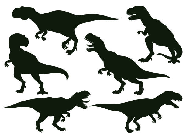 stockillustraties, clipart, cartoons en iconen met cartoon jurassic predator tyrannosaurus rex, extinct t-rex silhouette. jurassic ancient predator, t-rex raptor monster vector illustration set. tyrannosaurus rex silhouettes - theropod