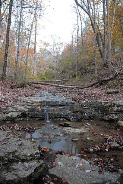 istock Hoffman Falls, Clifty Falls State Park, Indiana 1343284010