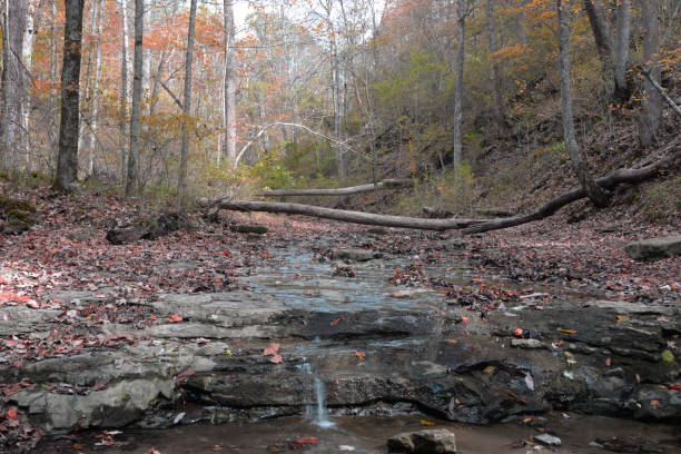 istock Hoffman Falls, Clifty Falls State Park, Indiana 1343284059