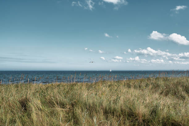 grass covered dune and baltic sea against beautiful sky