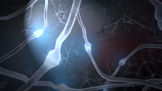 Brain Neuron Activity