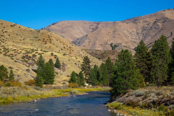 istock Middle Fork of the Boise River, Idaho 1343286226