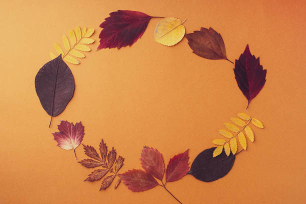 istock Frame of different dry leaves on an orange background, flat, flat, top view, copy space. Autumn composition, screensaver. Creative layout of colorful autumn leaves. Autumn season concept 1343286313