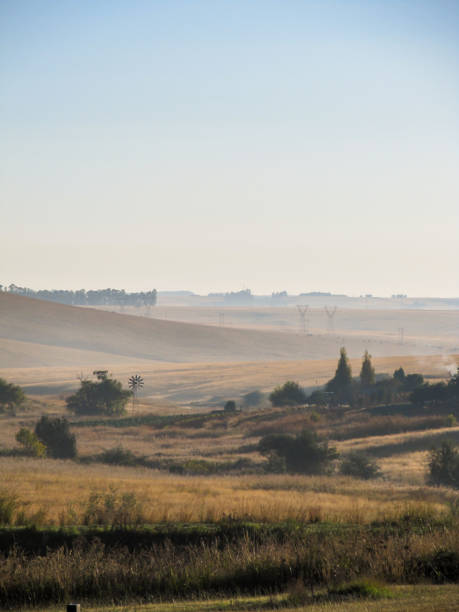 утро хайвелд - dullstroom стоковые фото и изображения