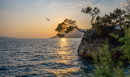 Rock island at sunset in small mediterranean town Brela , Croatia. Summer and Vacation concept.