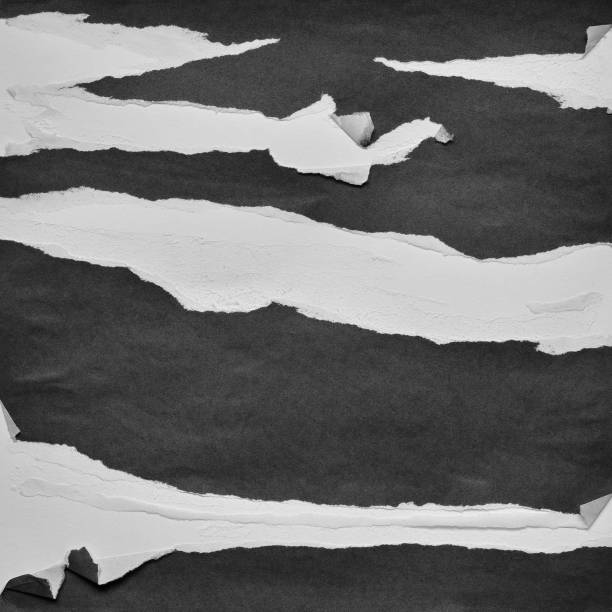 istock Black and White Torn Paper Collage Style, Ripped Paper Effect, Texture Abstract Background, Copy Space for Text. 1343291750