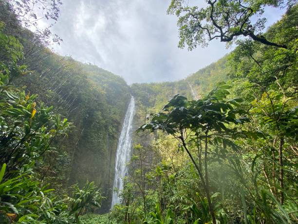 istock Road to Hana Hawaii 1343293344