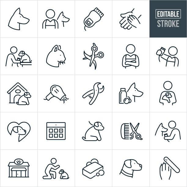 Pet Grooming And Boarding Thin Line Icons - Editable Stroke A set of pet grooming and boarding icons with editable strokes or outlines using the EPS file. The icons include a German Shepard dog, dog groomer with dog, electric clippers, human hand with dog paw in hand, pet groomer grooming puppy, cat, scissors, pet groomer wearing apron with arms folded, pet groomer wearing apron while holding electric clippers, dog sitting next to doghouse, blowdryer, animal toe nail clippers, dog washing, pet owner holding puppy, Labrador retriever, calendar appointment, puppy dog on leash, pet shop, person training puppy, soap and shampoo, dog with collar, dog getting toenails filed and other related icons. black german shepherd dog or alsatian wolf dog stock illustrations