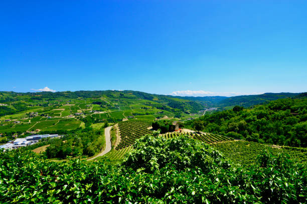istock Piedmont, Italy 1343294752