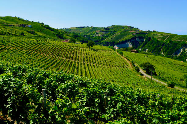 istock Piedmont, Italy 1343294776