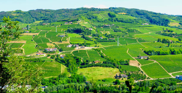 istock Piedmont, Italy 1343294835