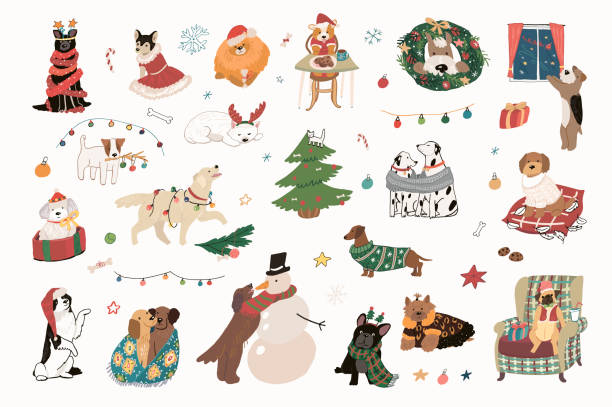 weihnachtsfeier mit hund haustiere illustrationen vektor set - christmas dachshund dog pets stock-grafiken, -clipart, -cartoons und -symbole