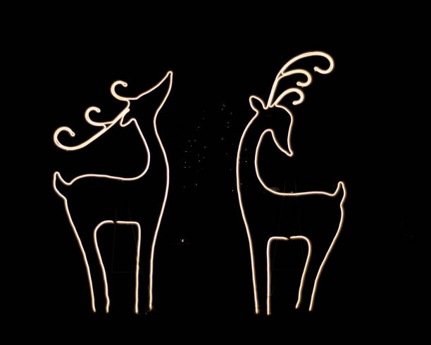 Decoration LED lights for the Holiday season in the shape of raindeer