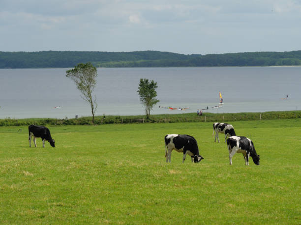istock Hiking on the Holnis in Schleswig-Holstein 1343301098