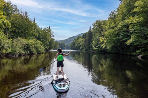 istock Woman Paddleboarding on the River in Summer 1343301486