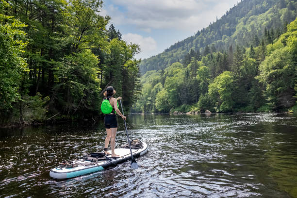 istock Woman Paddleboarding on the River in Summer 1343301566