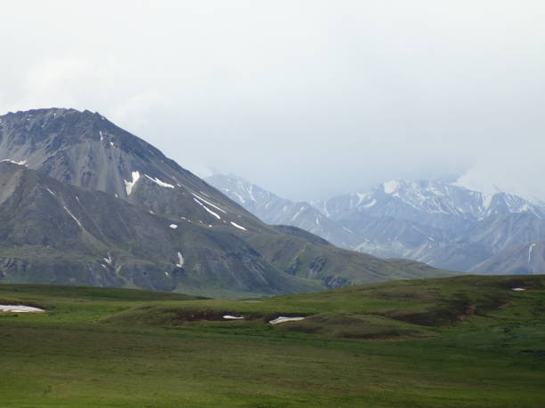 istock Denali national park, Alaska 1343302222