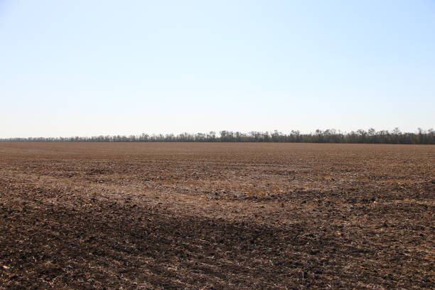 istock Plowed field and good weather 1343302338