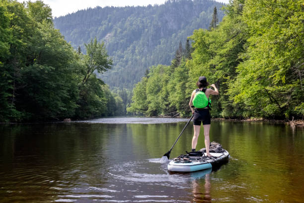 istock Woman Paddleboarding on the River in Summer 1343302727