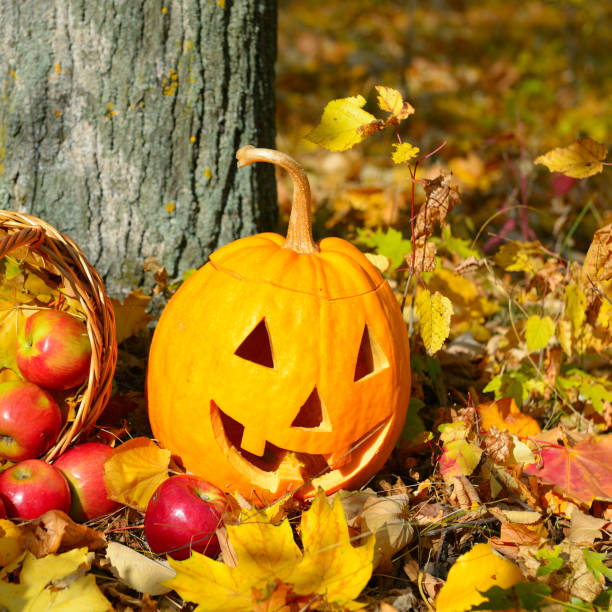 istock Smiling Halloween pumpkin head on a stump in front of forest background. Celebration theme, text space. 1343302852