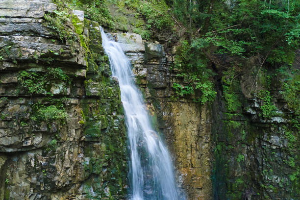 istock Waterfall on mountain river with white foamy water falling down from rocky formation in summer forest. 1343303781