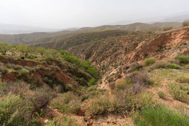 istock mountainous landscape in southern Spain 1343304178
