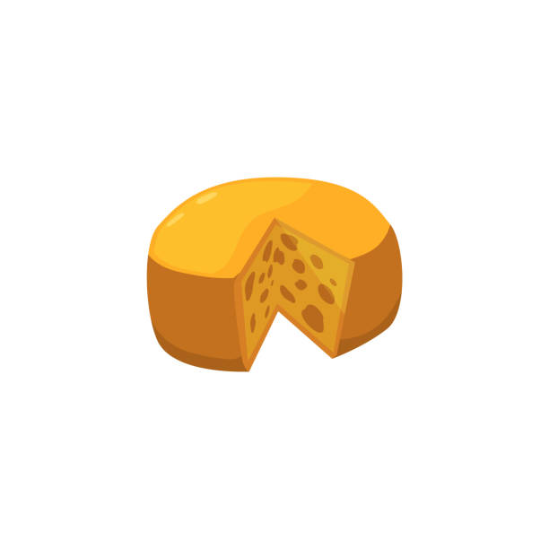 컷 피스 벡터 일러스트와 네덜란드 하드 밀크 치즈의 둥근 머리. - cheese block gouda dutch culture stock illustrations