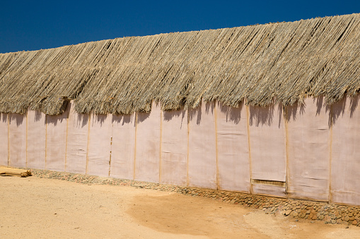 The roof is thatched from palm leaves. Natural background and traditional roof texture ,There is a bird sitting on it.